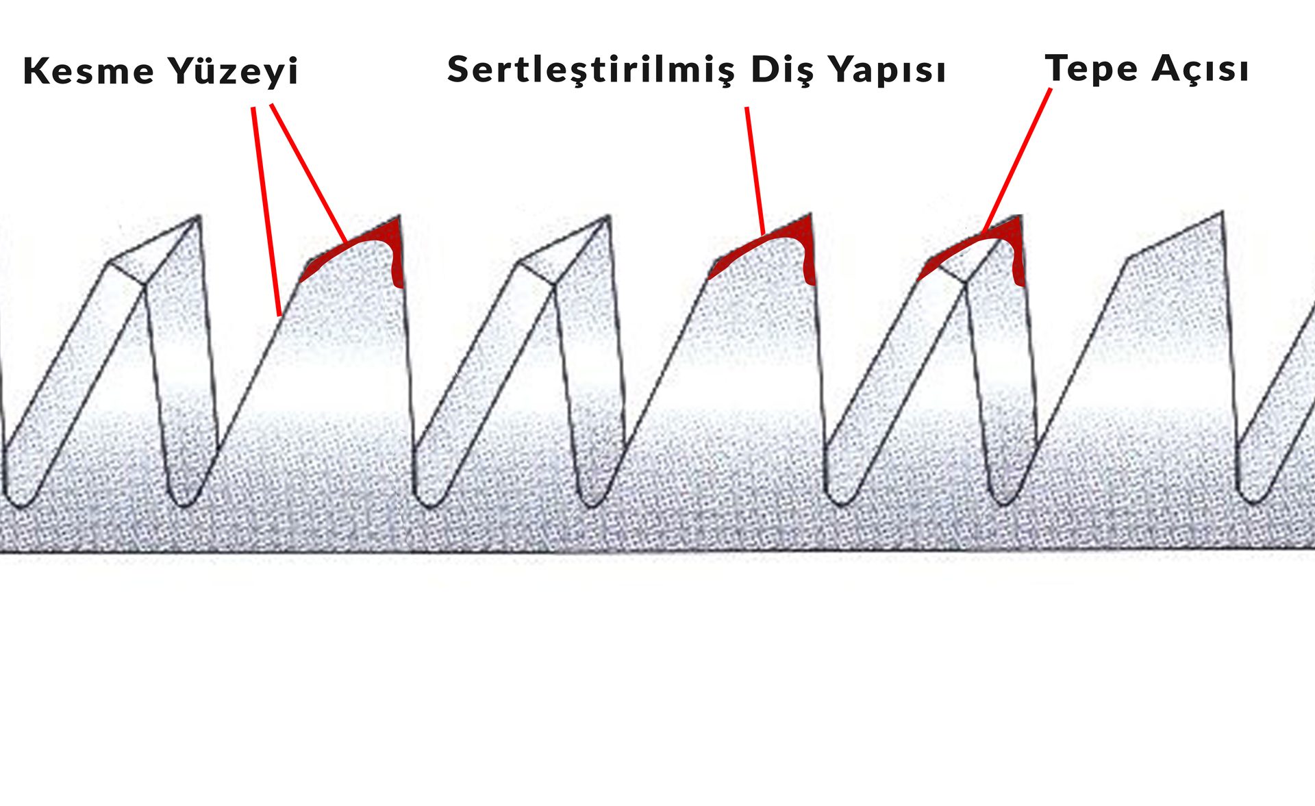 Diş geometrisi detayı: yan kesim yüzeyleri, darbe sertleştirilmiş diş uçları, üç yönlü taşlama
